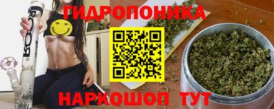 гидра Моздок