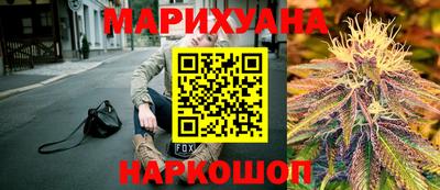 индика Можайск