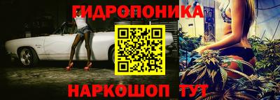 индика Можайск