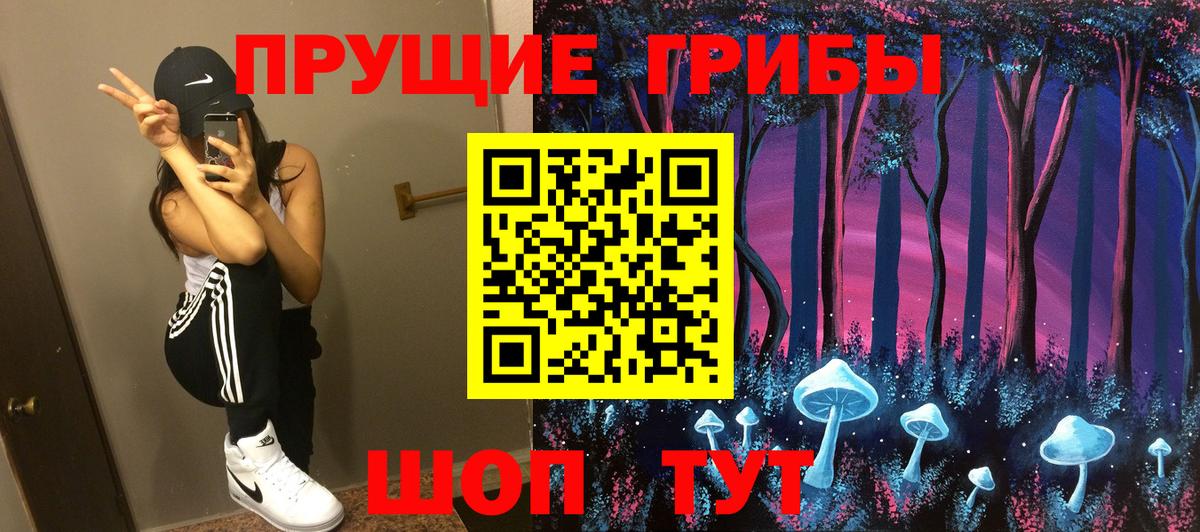 где купить наркотик  Железноводск  Галлюциногенные грибы Psilocybe  Псилоцибиновые грибы прущие грибы 