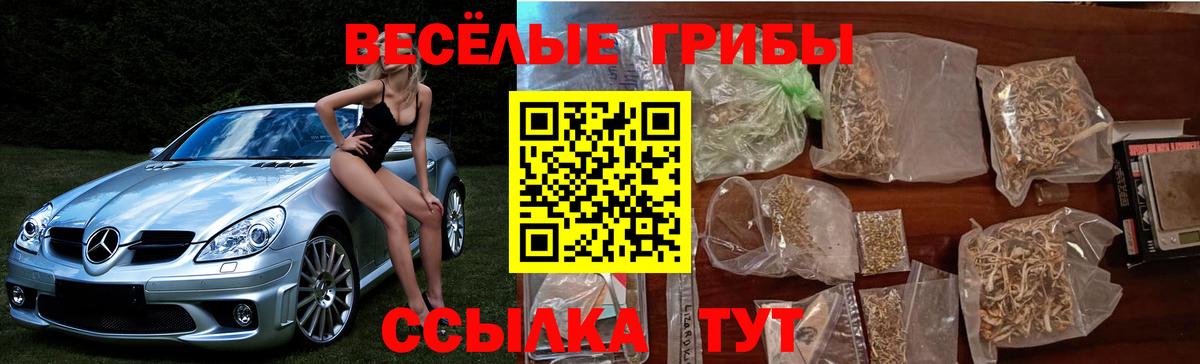 Псилоцибиновые грибы Psilocybine cubensis Железноводск