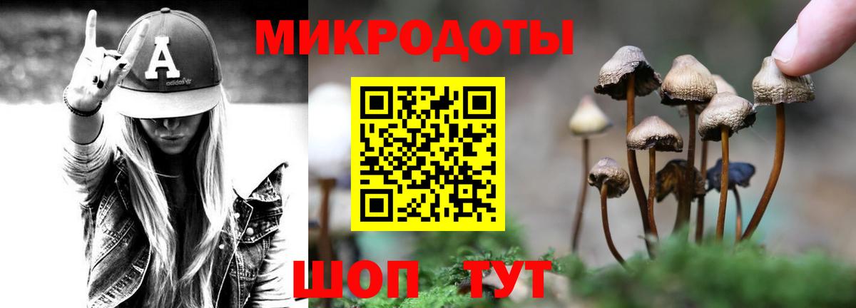 Железноводск  Псилоцибиновые грибы Psilocybe  Вход с VPN 
